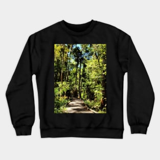 cypress walk Crewneck Sweatshirt